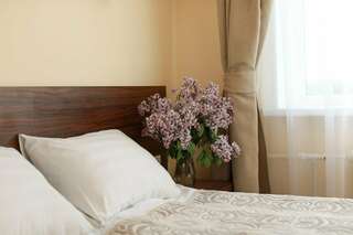 Гостиница Аист Великий Новгород Двухместный номер эконом-класса с 1 кроватью-2